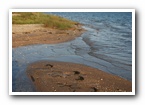 [Click to enlarge image]