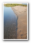 [Click to enlarge image]