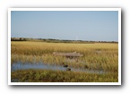 [Click to enlarge image]