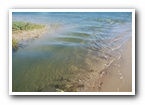 [Click to enlarge image]