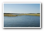 [Click to enlarge image]