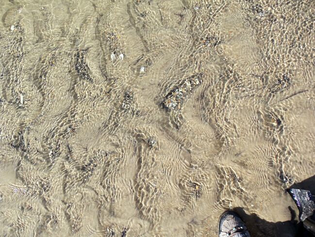     100_1366.jpg