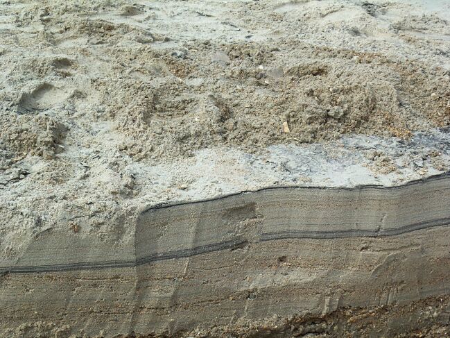     100_1450.jpg