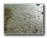 Click to enlarge this image