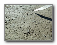 Click to enlarge this image