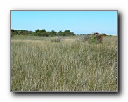 Click to enlarge this image