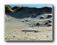 Click to enlarge this image