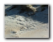 Click to enlarge this image