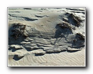 Click to enlarge this image