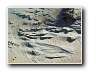 Click to enlarge this image