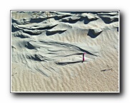 Click to enlarge this image