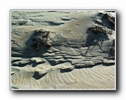 Click to enlarge this image