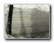 Click to enlarge this image