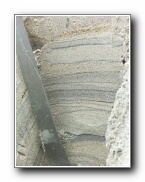 Click to enlarge this image