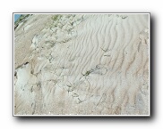 Click to enlarge this image