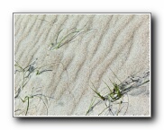Click to enlarge this image