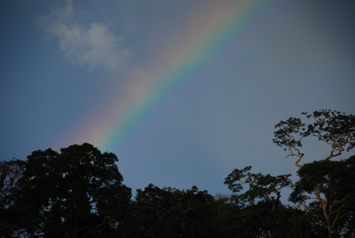 Rainbow