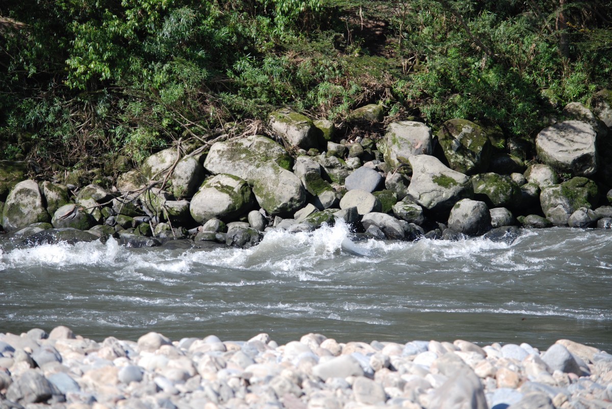 Rapids - Tavara River