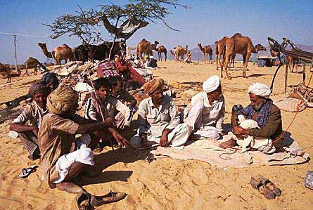 Rajput Camel Herders