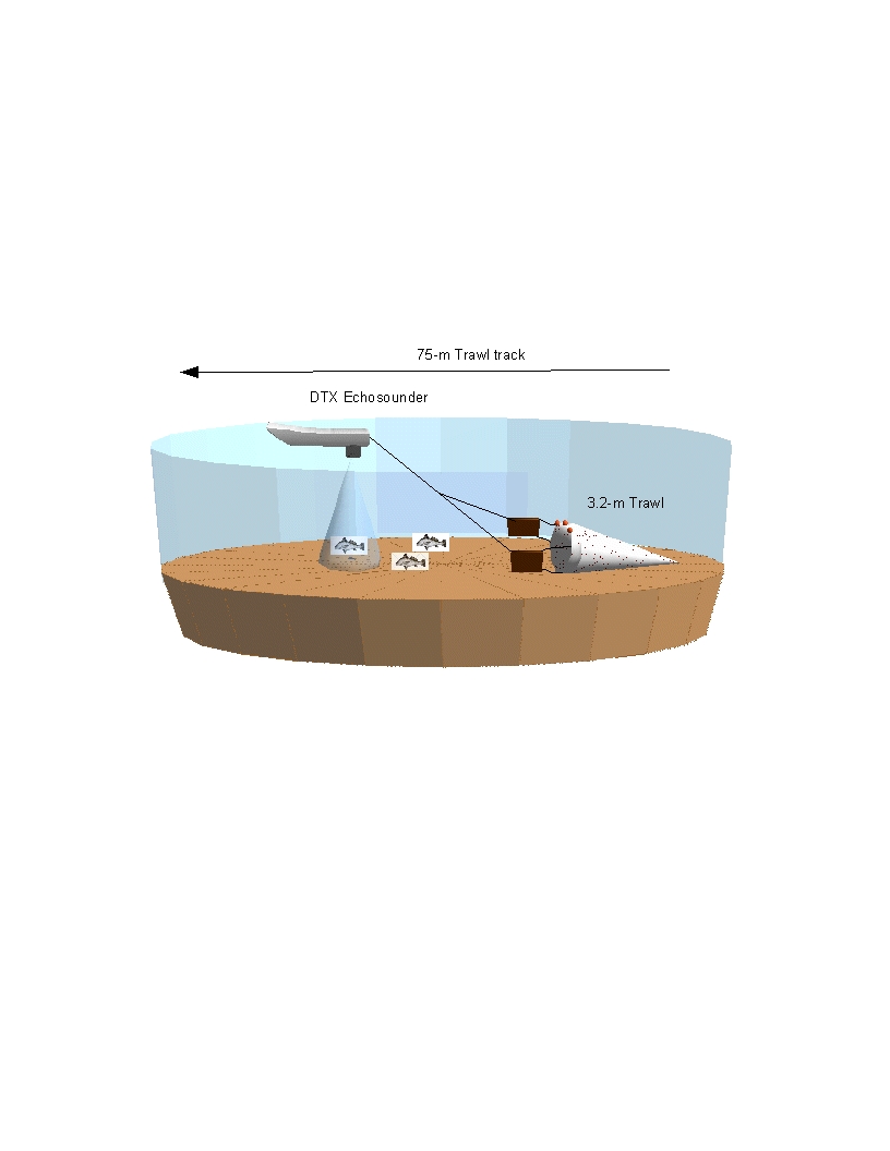 Fish_Sampling_graphic