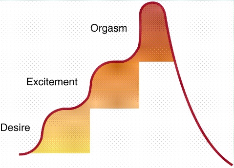 Kaplan's Triphasic Model