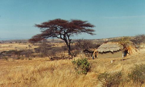 Rural Tanzania, John
Hobgood, 1997